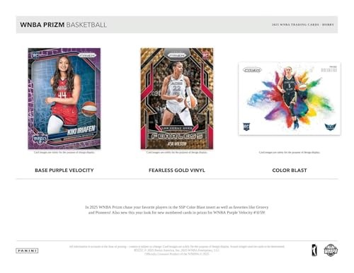 Panini 2025 WNBA Prizm Basketball Hobby Box
